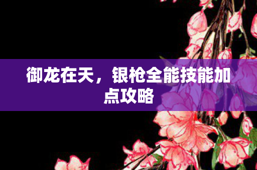银枪全能技能加点攻略图片
