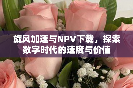 探索数字时代的速度与价值图片