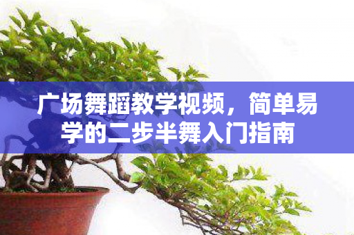 简单易学的二步半舞入门指南图片