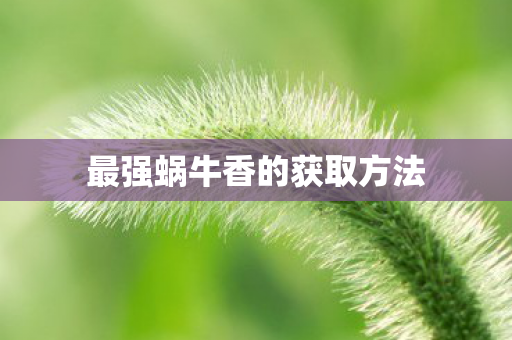 最强蜗牛香的获取方法图片