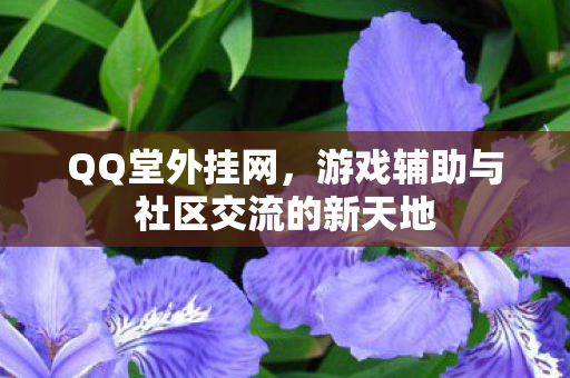 游戏辅助与社区交流的新天地图片