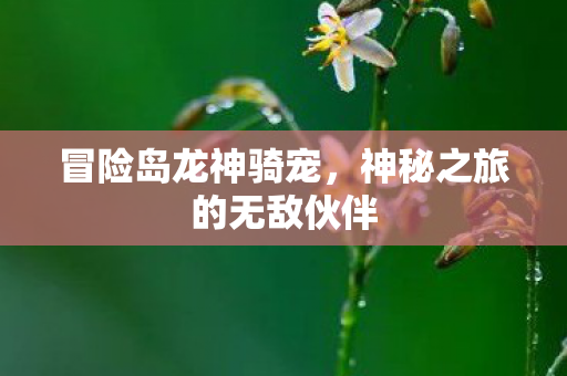神秘之旅的无敌伙伴图片