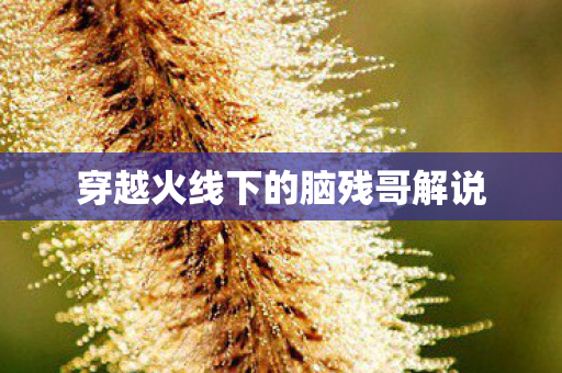 穿越火线下的脑残哥解说图片