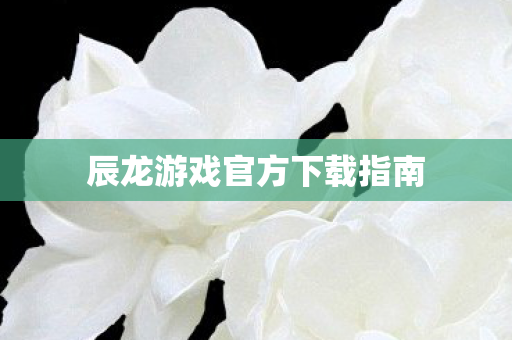 辰龙游戏官方下载指南图片