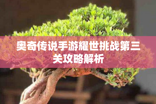 奥奇传说手游耀世挑战第三关攻略解析图片