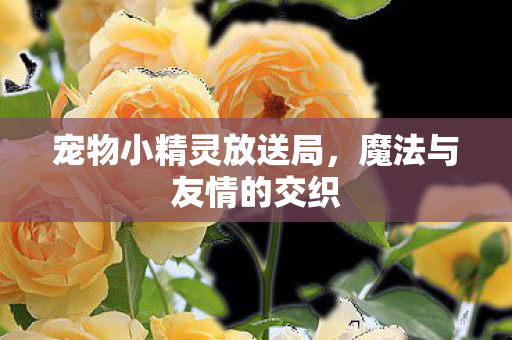 宠物小精灵放送局图片