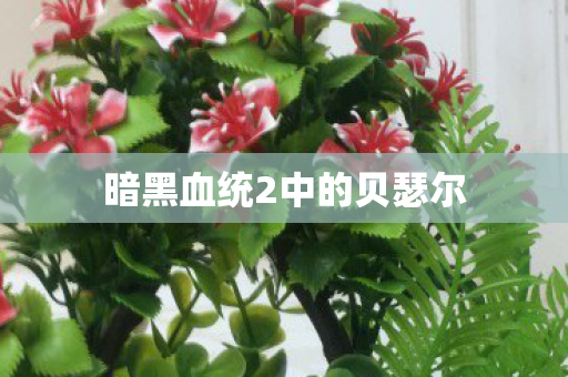 暗黑血统2中的贝瑟尔 暗黑血统2中的贝瑟尔