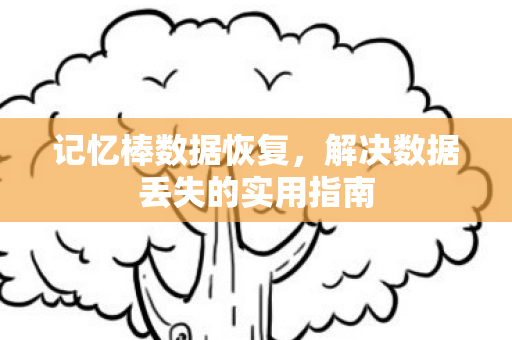 解决数据丢失的实用指南图片