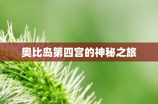 奥比岛第四宫的神秘之旅图片