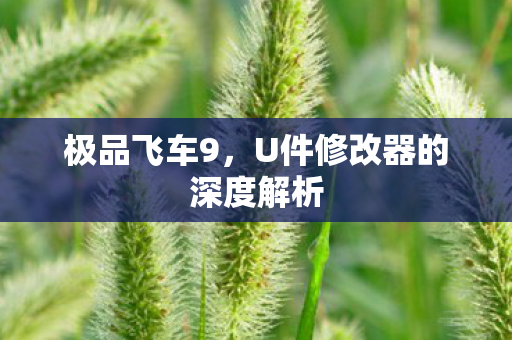 U件修改器的深度解析图片