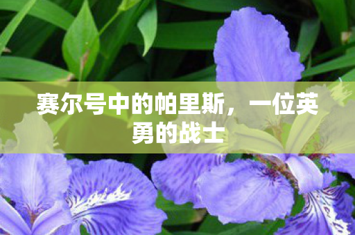 赛尔号中的帕里斯图片
