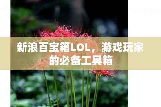 游戏玩家的必备工具箱图片