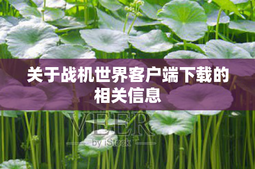关于战机世界客户端下载的相关信息图片