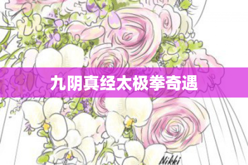 九阴真经太极拳奇遇图片