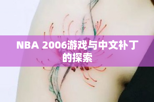 NBA 2006游戏与中文补丁的探索图片