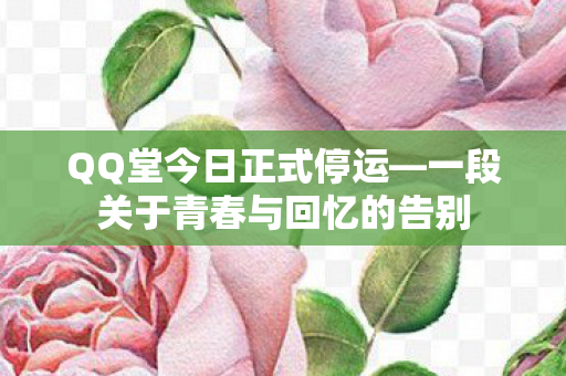 一段关于青春与回忆的告别图片