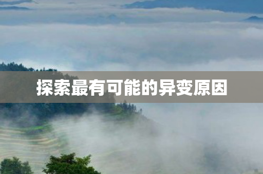 探索最有可能的异变原因图片