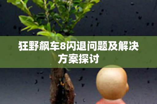 狂野飙车8闪退问题及解决方案探讨图片