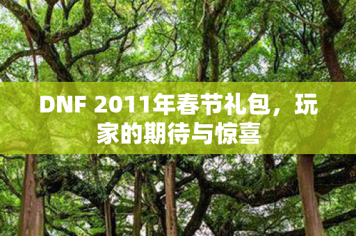DNF 2011年春节礼包，玩家的期待与惊喜