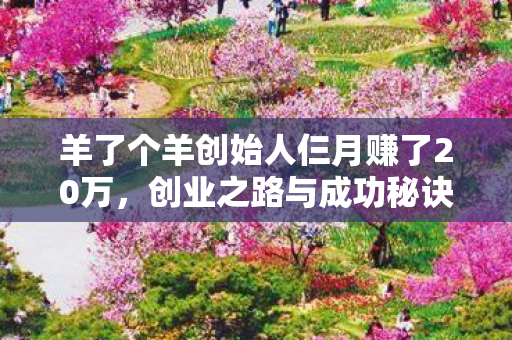 羊了个羊创始人仨月赚了20万，创业之路与成功秘诀
