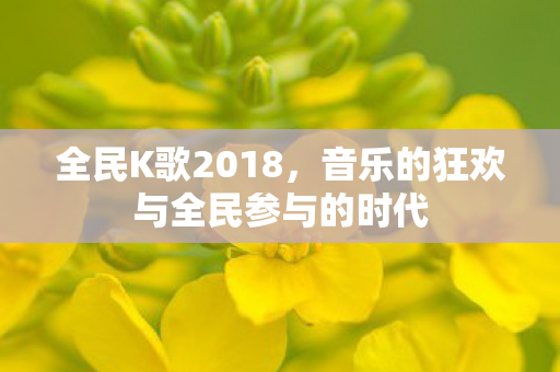 音乐的狂欢与全民参与的时代图片
