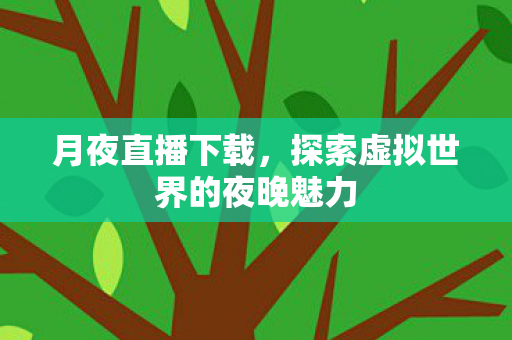 探索虚拟世界的夜晚魅力图片