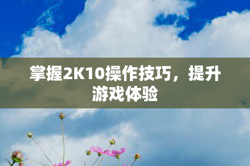 掌握2K10操作技巧图片
