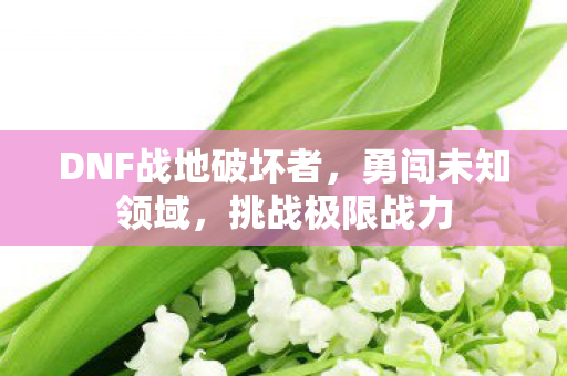 DNF战地破坏者图片