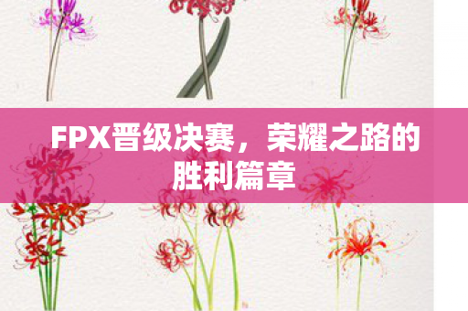 荣耀之路的胜利篇章图片