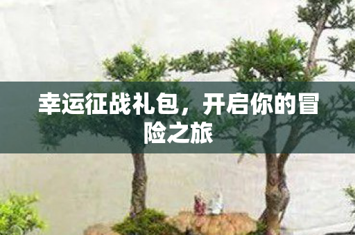开启你的冒险之旅图片