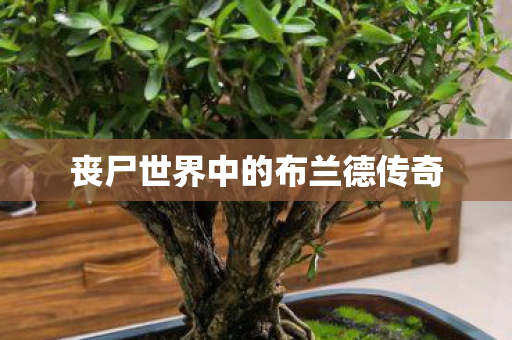 丧尸世界中的布兰德传奇图片