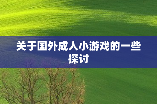 关于国外成人小游戏的一些探讨图片