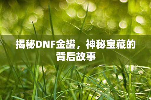 神秘宝藏的背后故事图片