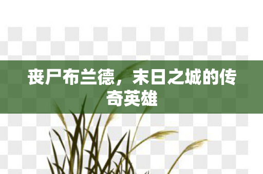 末日之城的传奇英雄图片