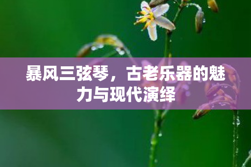 古老乐器的魅力与现代演绎图片