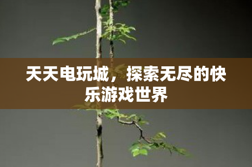 探索无尽的快乐游戏世界图片