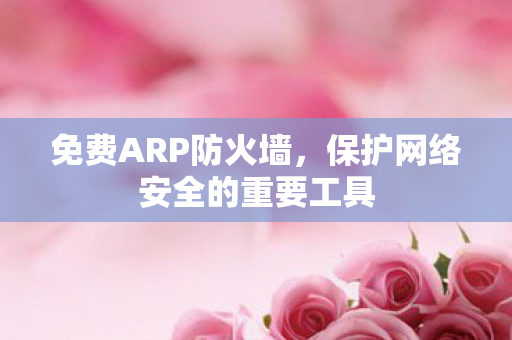 保护网络安全的重要工具图片