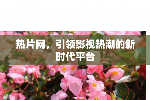 引领影视热潮的新时代平台图片