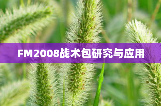 FM2008战术包研究与应用图片