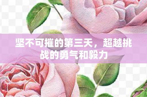 超越挑战的勇气和毅力图片