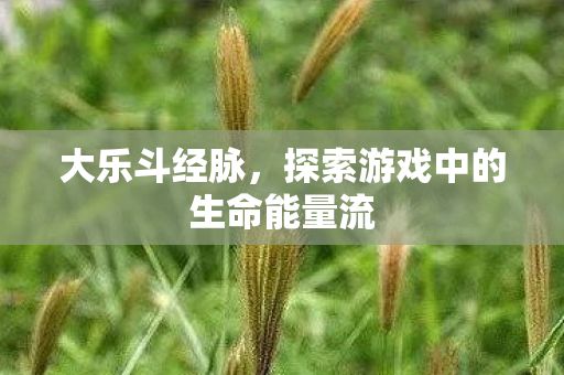 探索游戏中的生命能量流图片