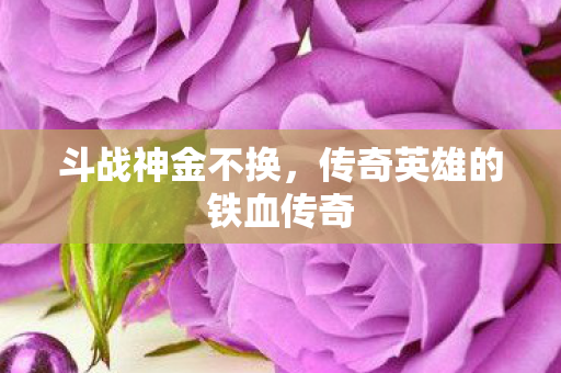 传奇英雄的铁血传奇图片