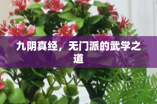 无门派的武学之道图片