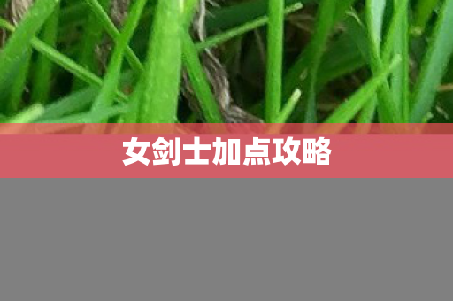 女剑士加点攻略图片