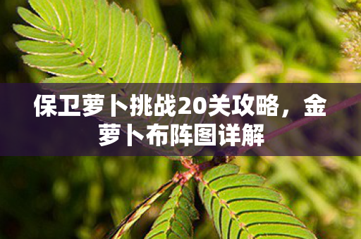 保卫萝卜挑战20关攻略图片