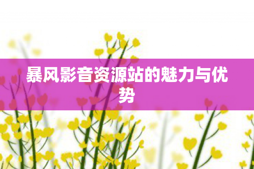 暴风影音资源站的魅力与优势图片