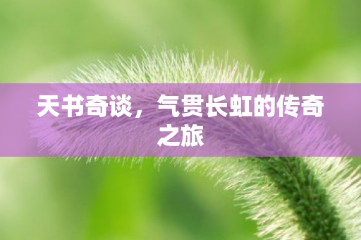 气贯长虹的传奇之旅图片