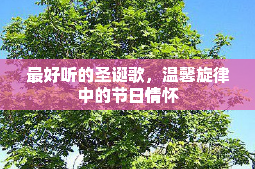 温馨旋律中的节日情怀图片
