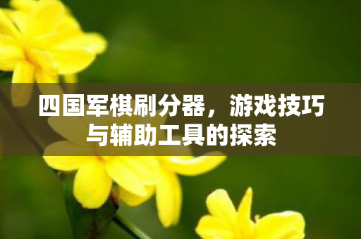 游戏技巧与辅助工具的探索图片