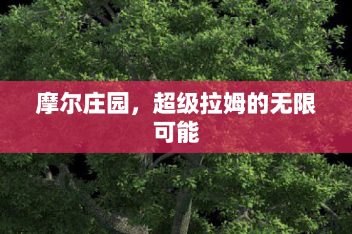 超级拉姆的无限可能图片
